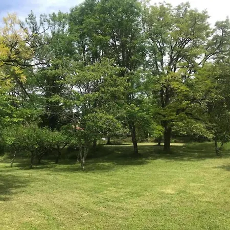 펜션 Spacious In With Swimming Pool Besse (Dordogne)